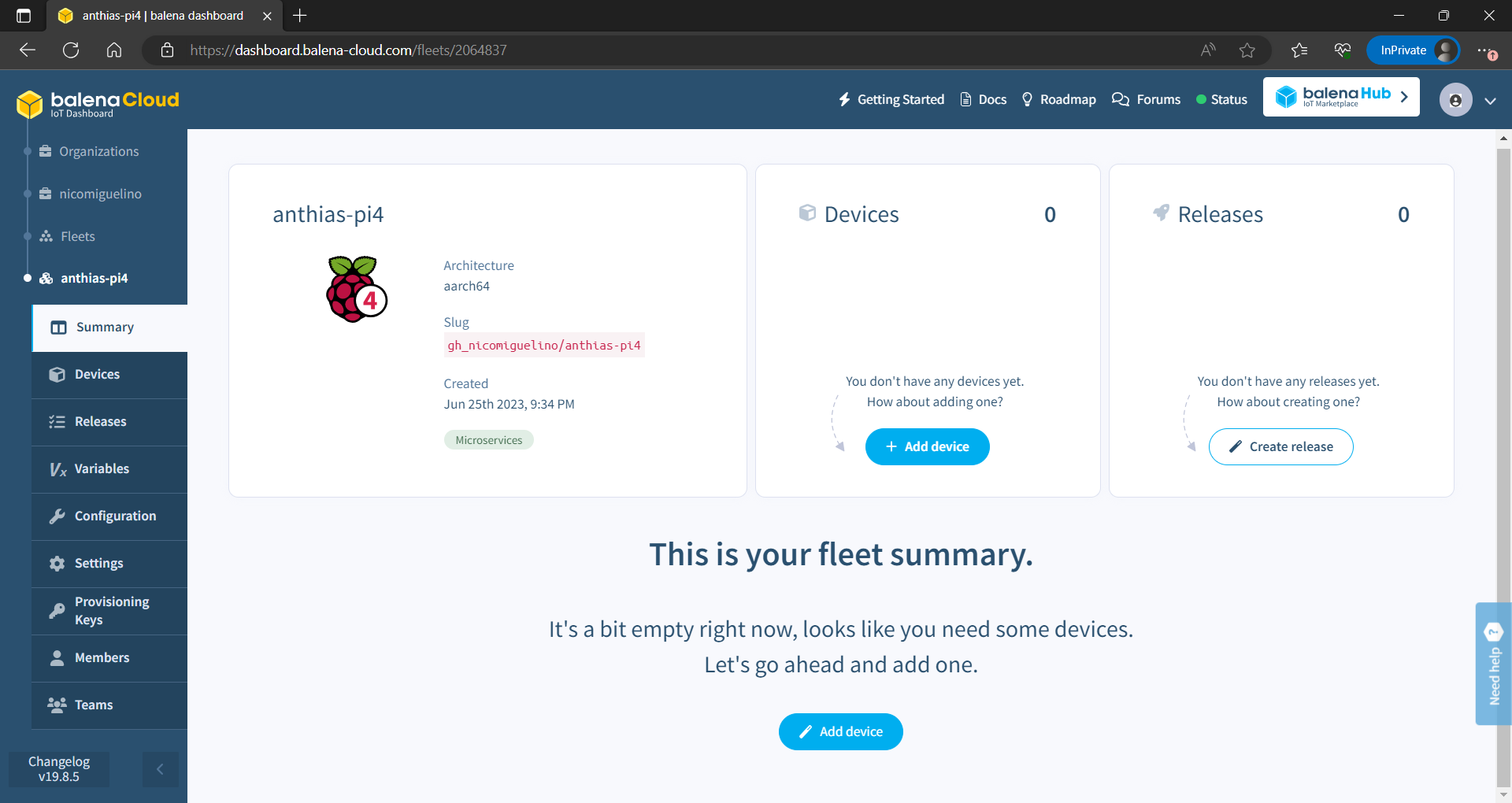 balena fleet summary page after creation
